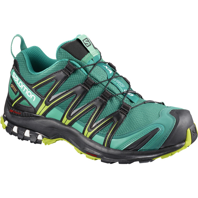 Chaussures De Trail Running Salomon Femme Vert - Salomon XA PRO 3D GTX® W - France (5390-FTGDP)